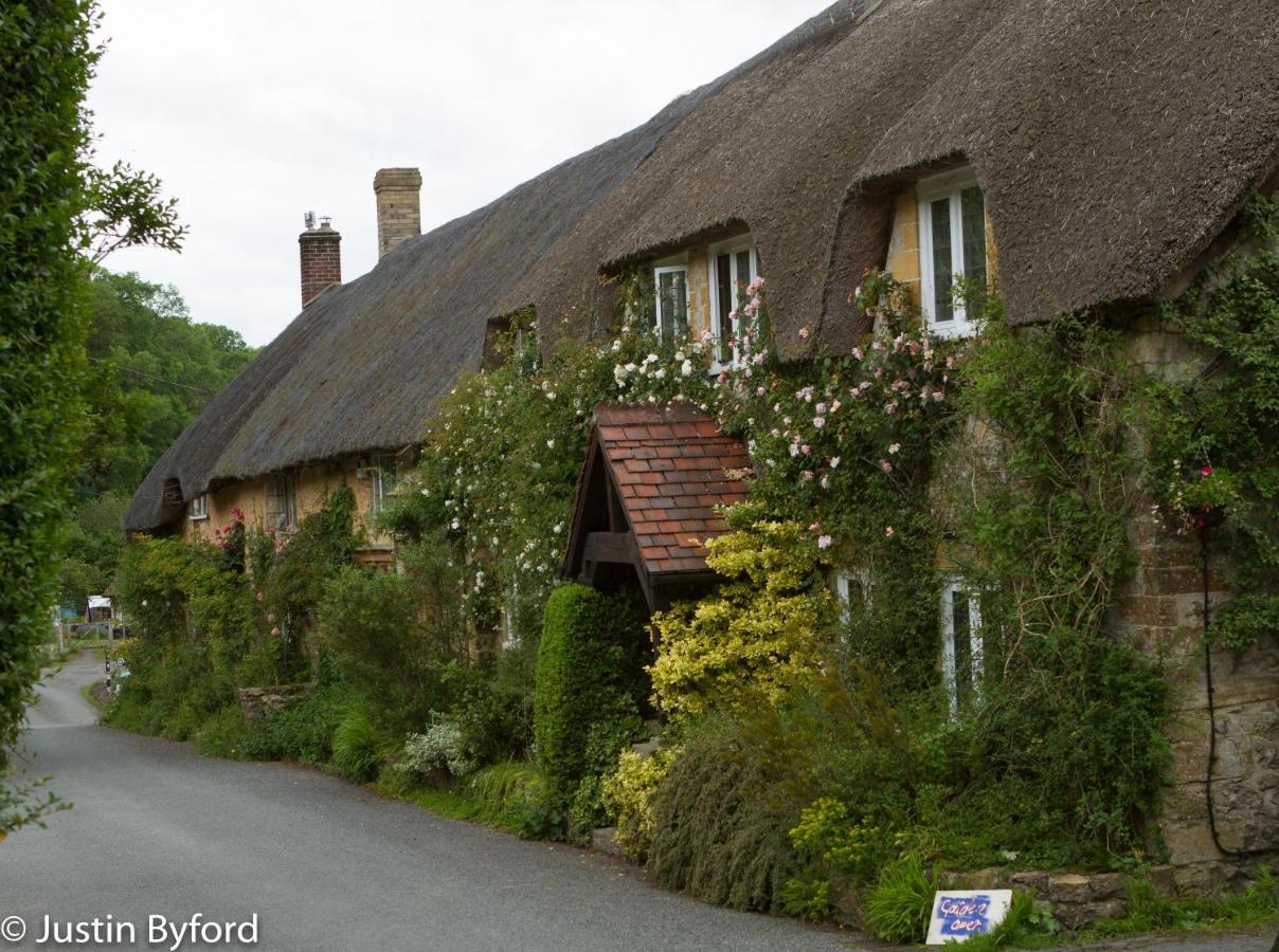 Lower Farm Cottage Beaminster Esterno foto